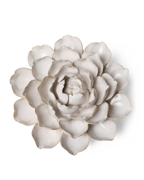 Ivory Empire Cabbage Flower