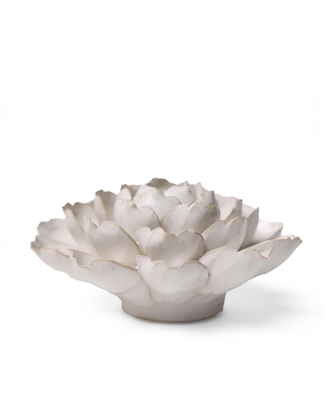 Ivory Empire Cabbage Flower
