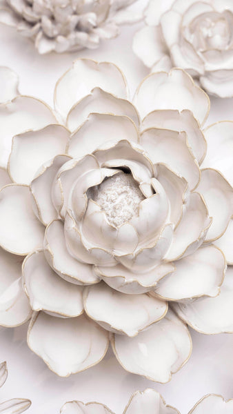 Ivory Empire Cabbage Flower