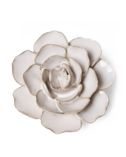 Ivory Amandine Ranunculus