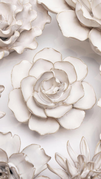 Ivory Amandine Ranunculus