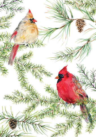 Cardinals in Evergreen Small Boxed Holiday Cards s/20