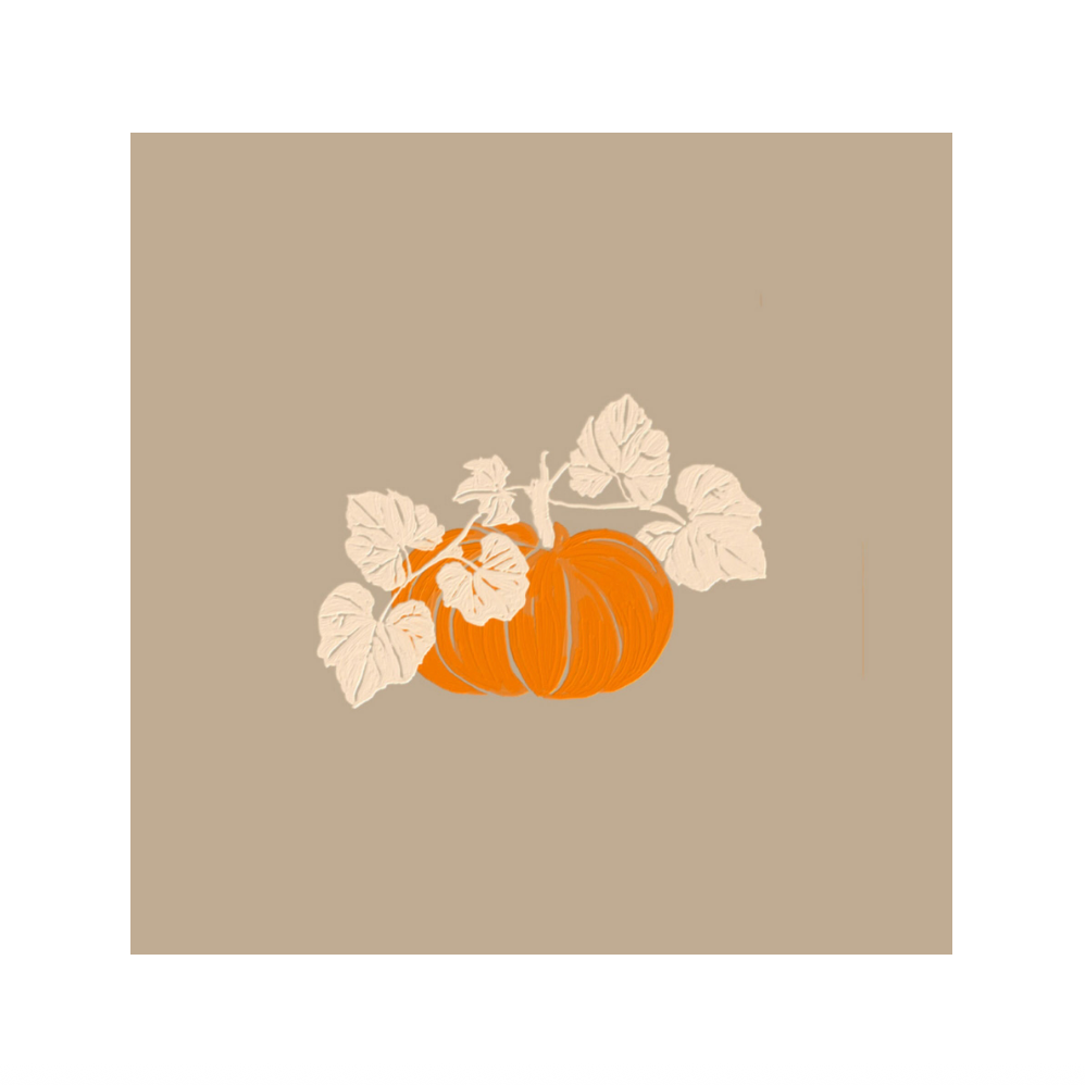 Cocktail Napkins - Françoise Paviot - Citrouille