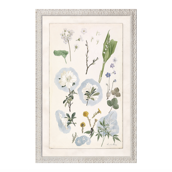 Collection 24, Spring Garden Study C. 1897