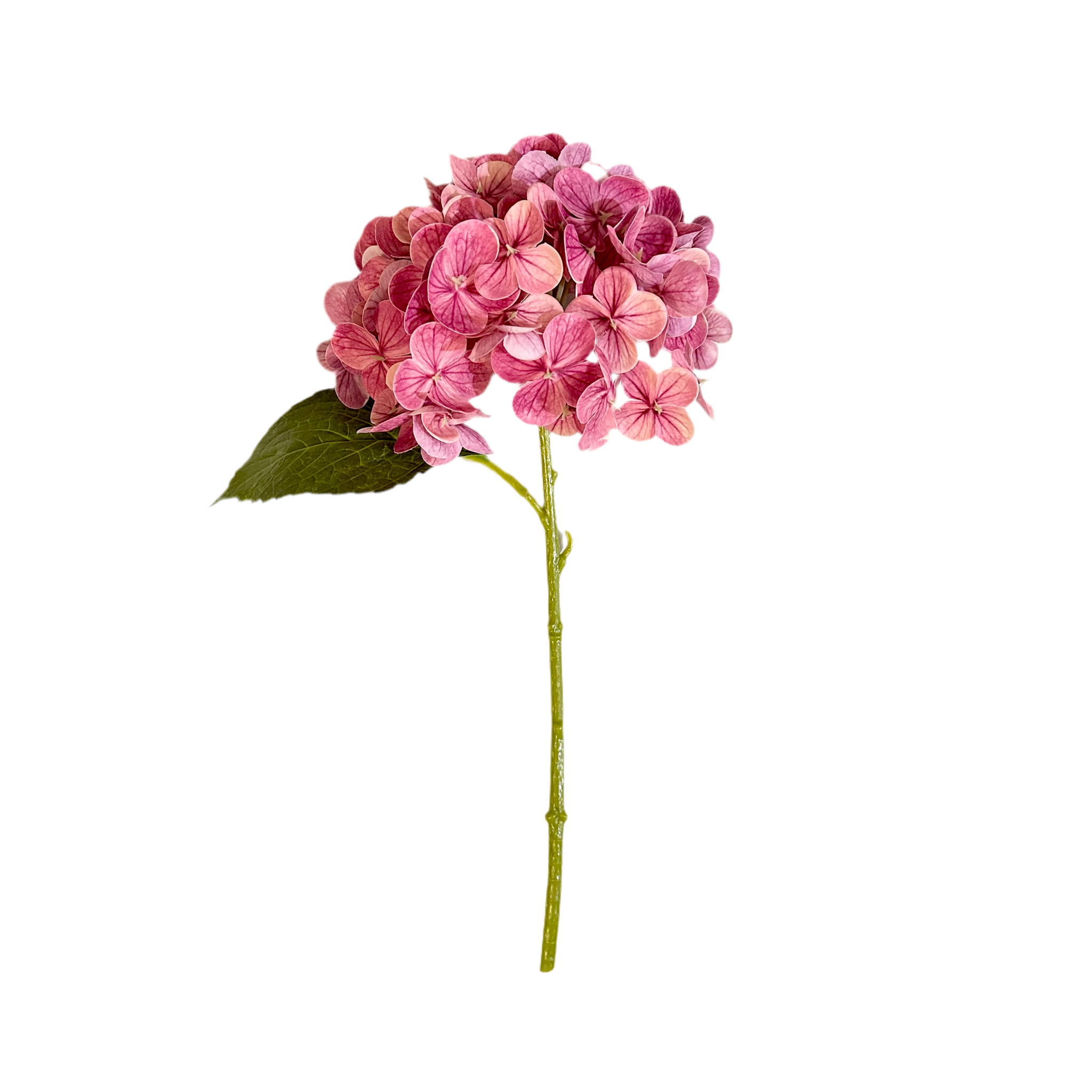 Raspberry Pink Hydrangea Stem