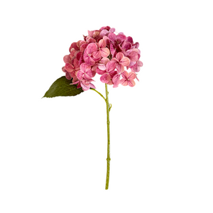 Raspberry Pink Hydrangea Stem