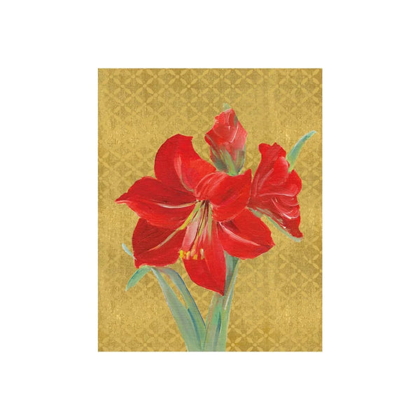 Amaryllis Illuminated Petite Boxed Christmas Cards