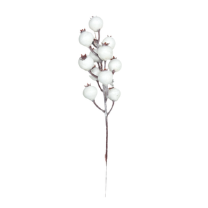 Winter White Berry Pick