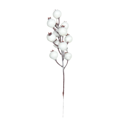 Winter White Berry Pick