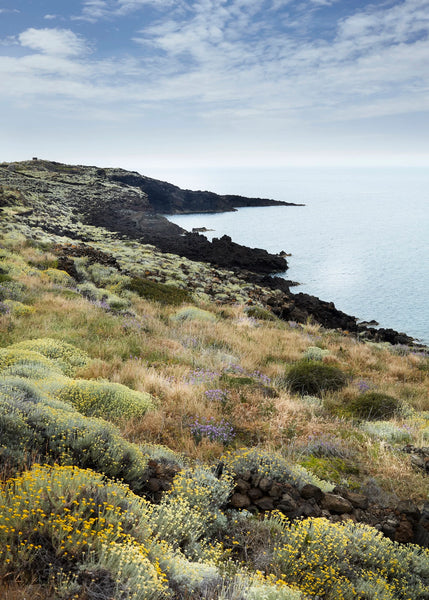 Slow Escapes: Rural Retreats For Conscious Travelers