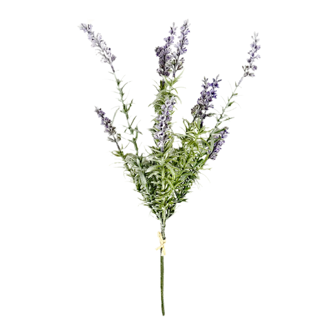 Lavender Bundle