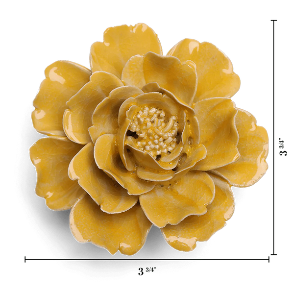 Burnt Yellow Rose