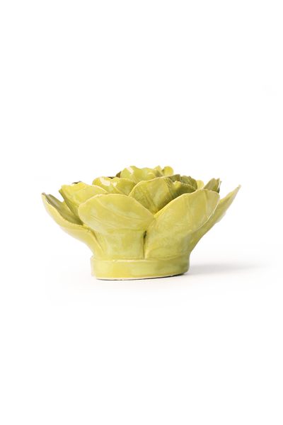 Chartreuse Primrose