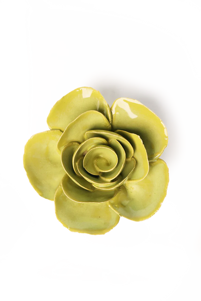 Chartreuse Elegance Ranunculus