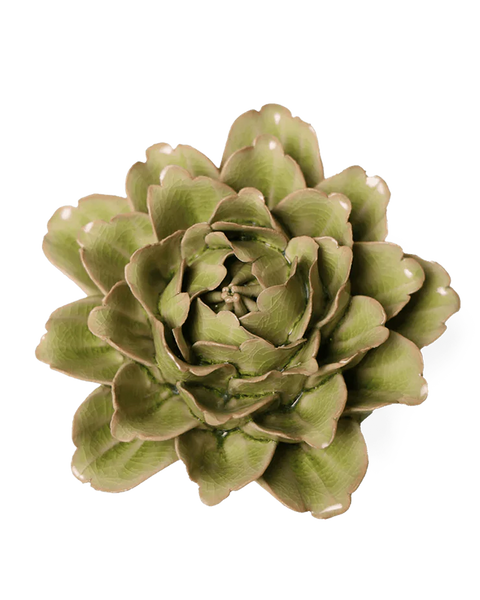Peridot Comanche Peony