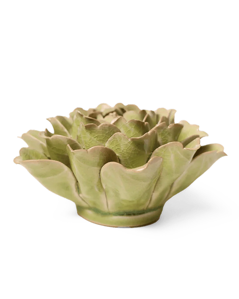 Peridot Comanche Peony