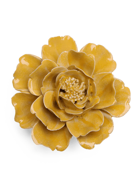Burnt Yellow Rose