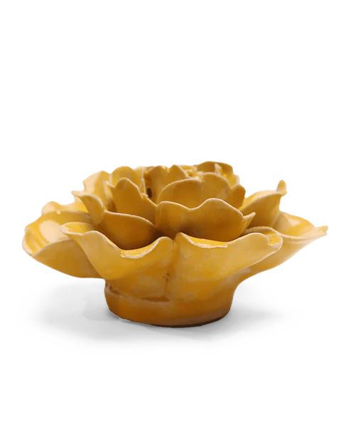 Burnt Yellow Rose