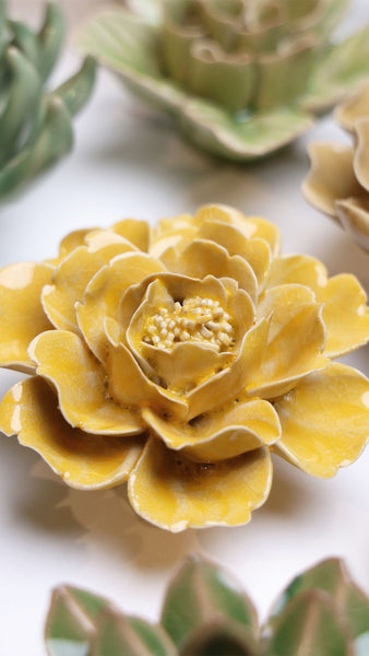 Burnt Yellow Rose