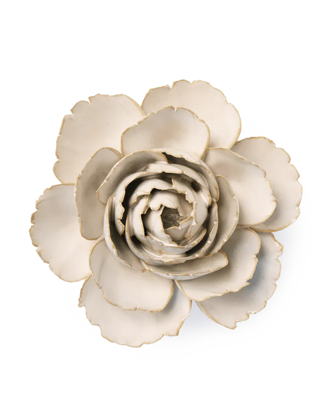Ivory English Rose