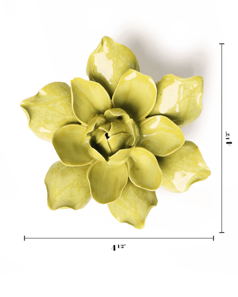 Chartreuse Columbine