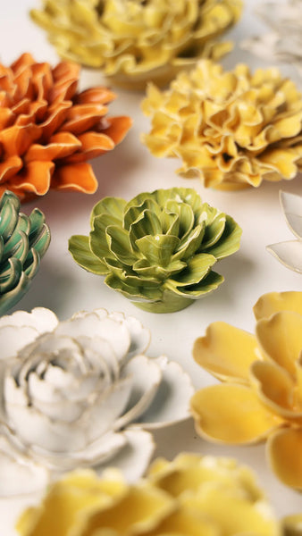 Olive Green Echeveria