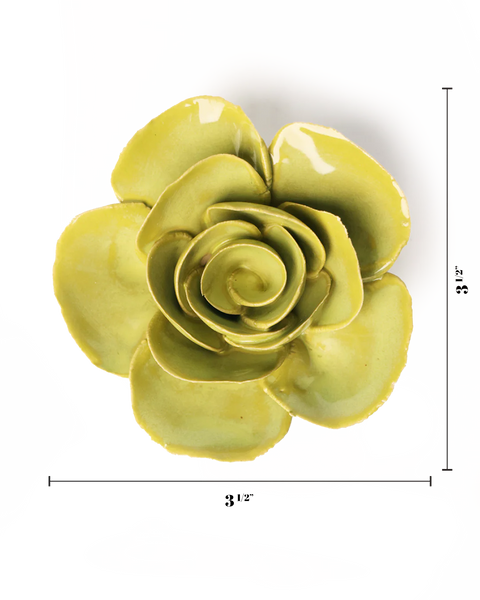 Chartreuse Elegance Ranunculus