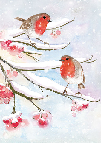 English Robins in Snow Small Boxed Holiday Cards s/20