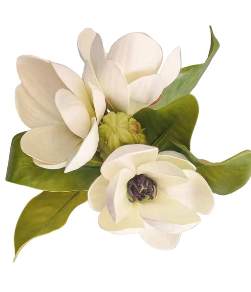 Magnolia Tree Bundle 11”