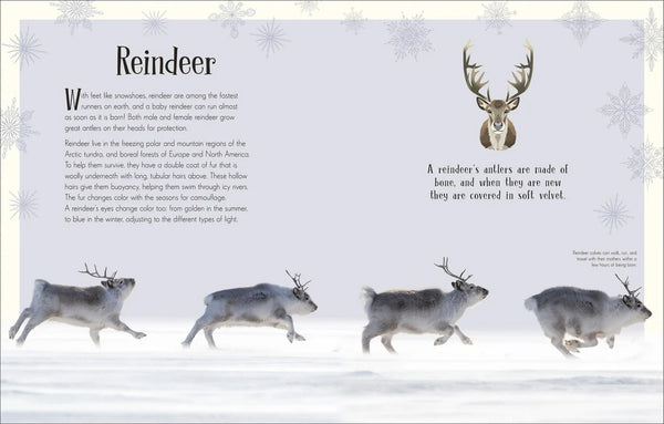 An Anthology of Christmas