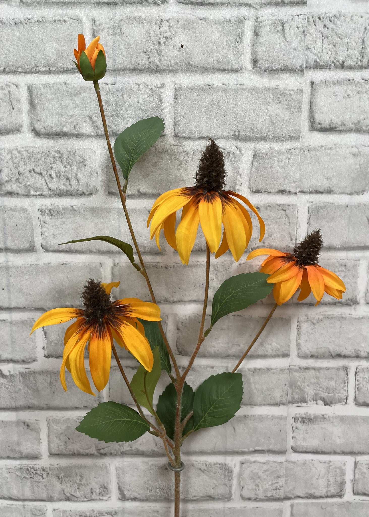 Yellow Orange Cone Flower Stem
