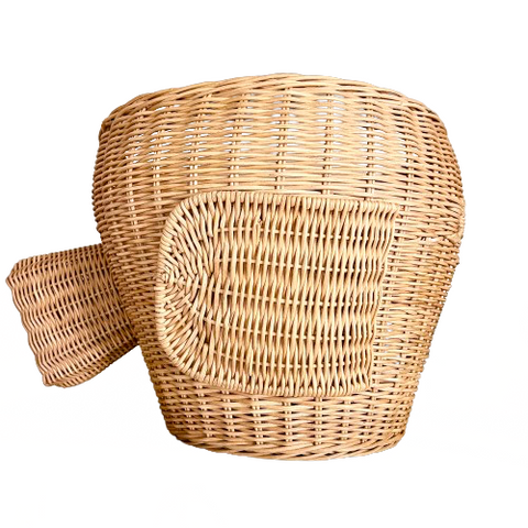 Fish Rattan Basket