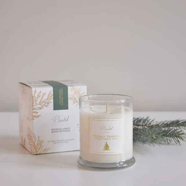 Freshly Trimmed Christmas Tree Planted Candle
