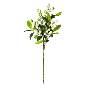 White Berry Pick