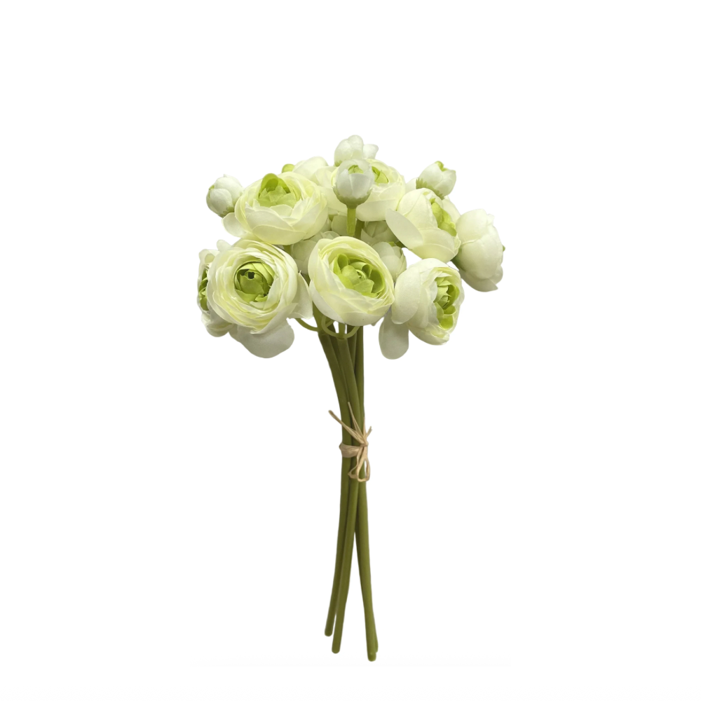 Green Ranunculus Bundle 11