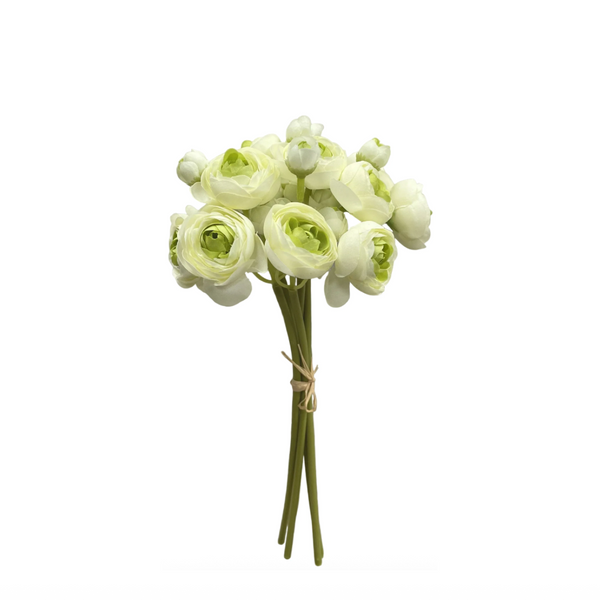 Green Ranunculus Bundle 11"