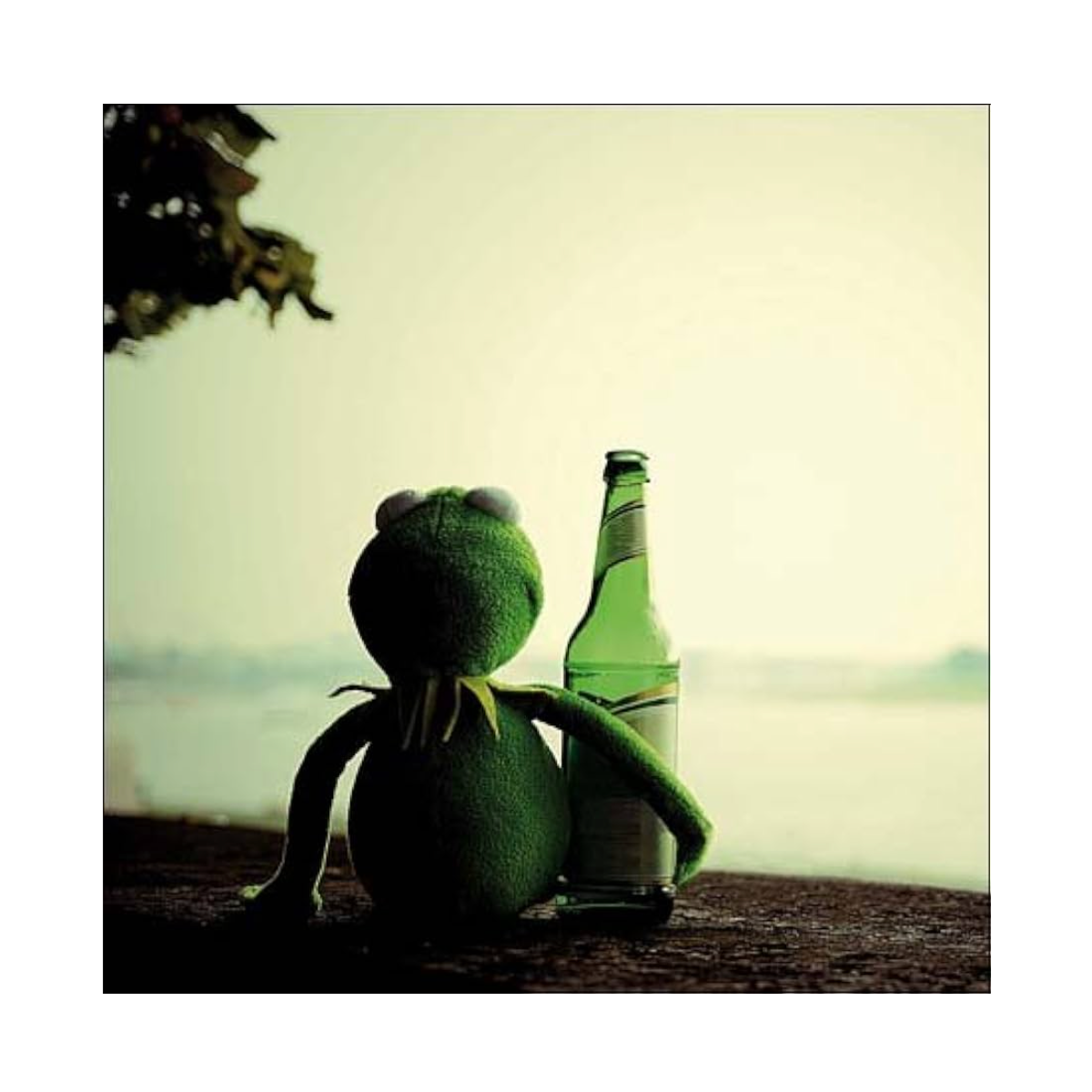 Happy Days Frog Card