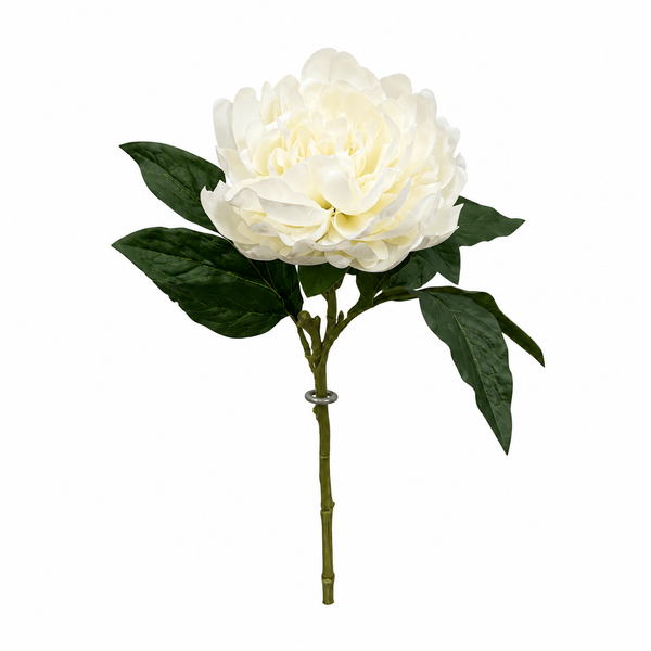 Cream Peony Stem 23"