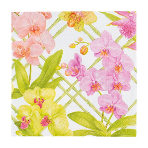 Cocktail Napkins - Orchid Conservatory