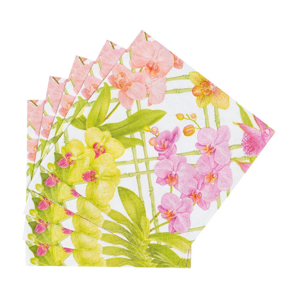 Cocktail Napkins - Orchid Conservatory