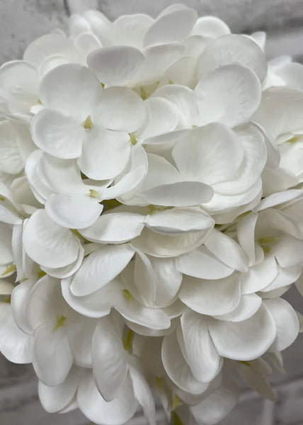 White Hydrangea Stem