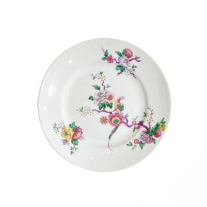 Vintage Colourful Bird Limoges Plate