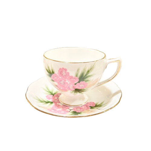 Vintage Colclough "Maytime" Bone China Teacup & Saucer