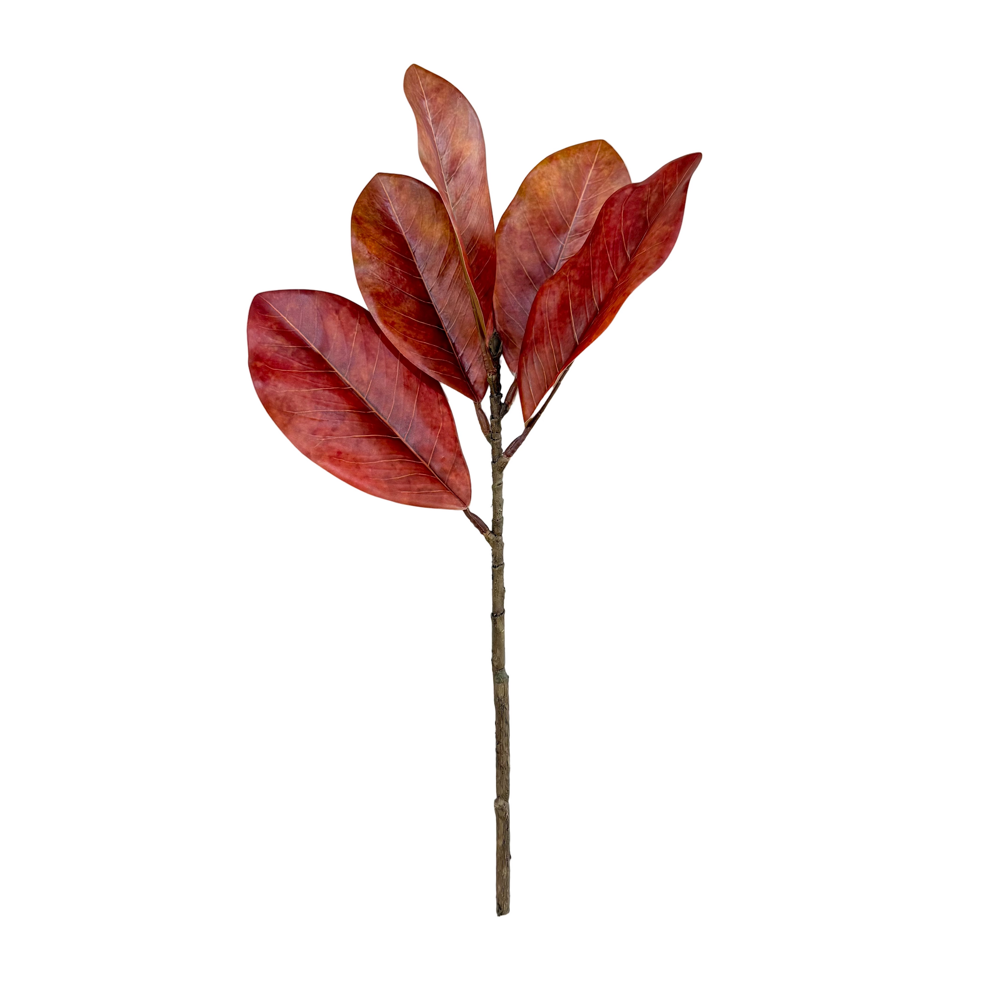 Red Magnolia Spray