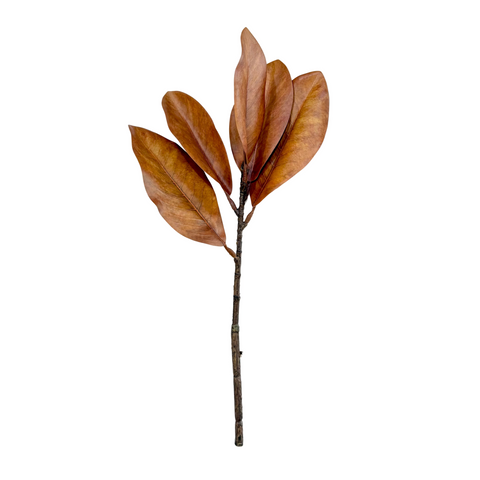 Brown Magnolia Spray