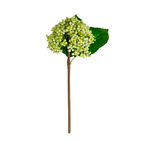 Green Seeded Hydrangea Spray