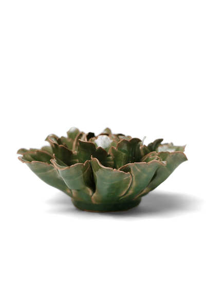 Avocado Green Sorbet Peony