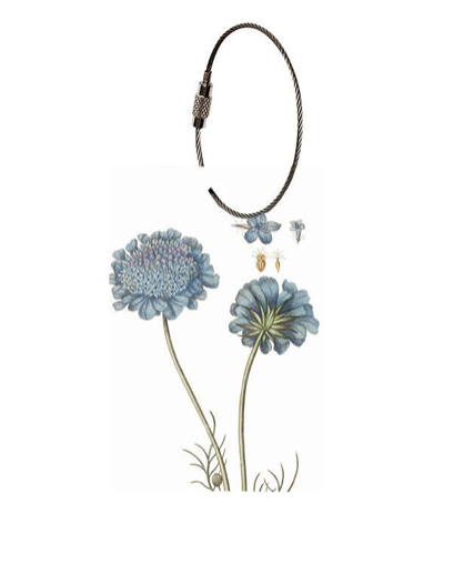 Luggage Tag - The Flora Danica Atlas - Scabiosa