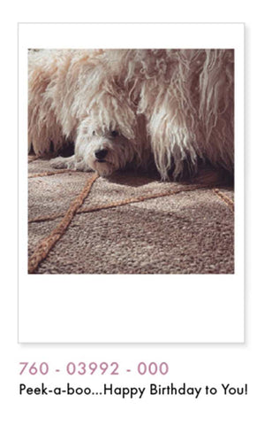 Peek-A-Boo Birthday Card