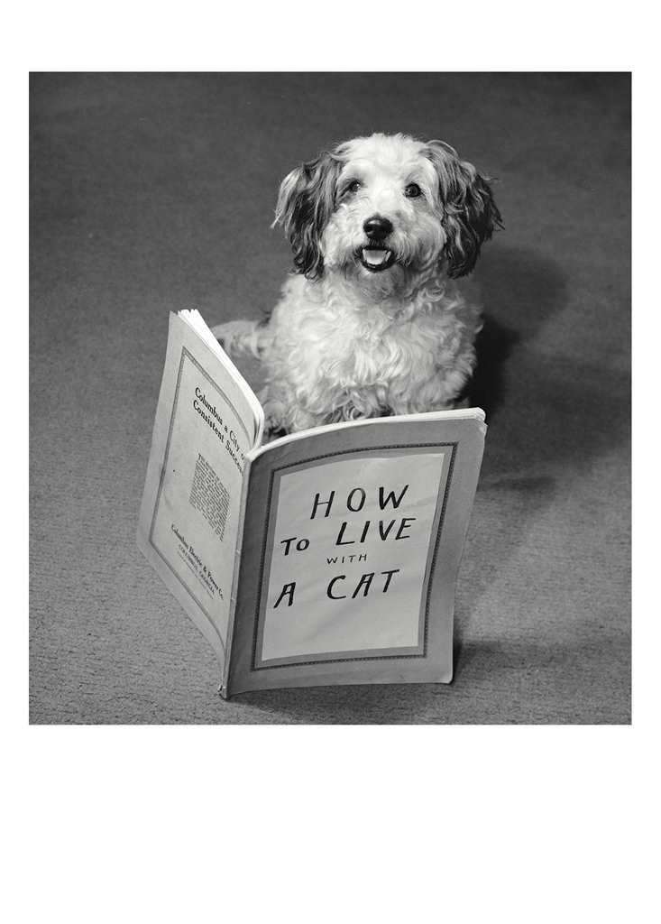 Conquer It All Birthday Card